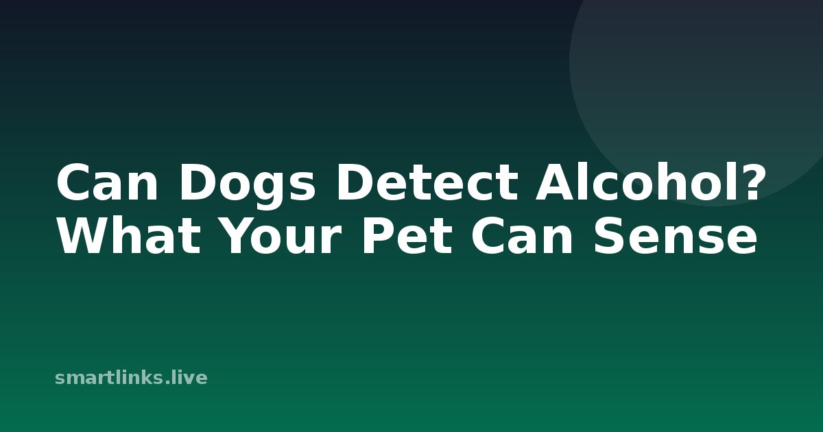 Illustration for Can Dogs Detect Alcohol? What Your Pet Can Sense